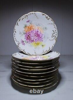 Set of 11 Antique 19th c DRESDEN Germany Hand Painted Porcelain Floral Plates
