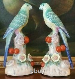 Stunning Pair Chelsea House Mantle Parrot Bird British Colonial Style