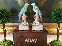 Stunning Pair Chelsea House Mantle Parrot Bird British Colonial Style