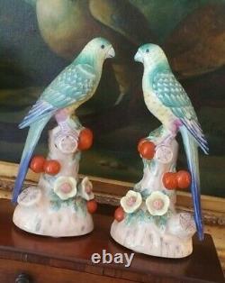 Stunning Pair Chelsea House Mantle Parrot Bird British Colonial Style