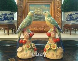 Stunning Pair Chelsea House Mantle Parrot Bird British Colonial Style