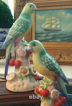 Stunning Pair Chelsea House Mantle Parrot Bird British Colonial Style