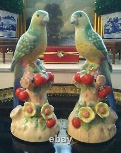 Stunning Pair Chelsea House Mantle Parrot Bird British Colonial Style