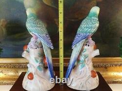 Stunning Pair Chelsea House Mantle Parrot Bird British Colonial Style