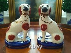 Stunning Rare English Staffordshire Spaniel Fox Hunt Game Hound Mantle Dog Pair