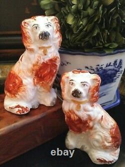 Stunning Rare Extra Small English Staffordshire Spaniel Fox Mantle Dog Pair 3.5