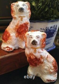 Stunning Rare Extra Small English Staffordshire Spaniel Fox Mantle Dog Pair 3.5