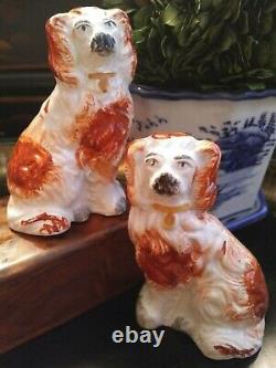 Stunning Rare Extra Small English Staffordshire Spaniel Fox Mantle Dog Pair 3.5