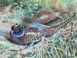 Worcester Artist Francis Clark Hand Painted Porcelain Plaque With Pheasants