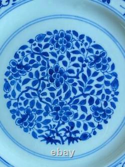 Yongzheng (1723-1735) Chinese Antique Porcelain Blue and White Flowers plate